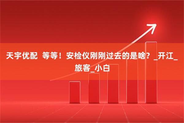 天宇优配  等等！安检仪刚刚过去的是啥？_开江_旅客_小白