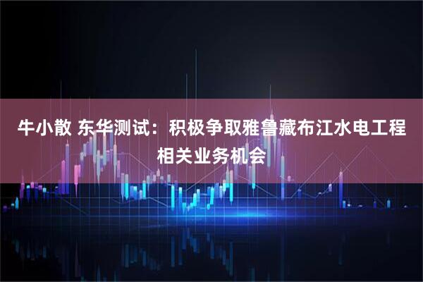 牛小散 东华测试：积极争取雅鲁藏布江水电工程相关业务机会