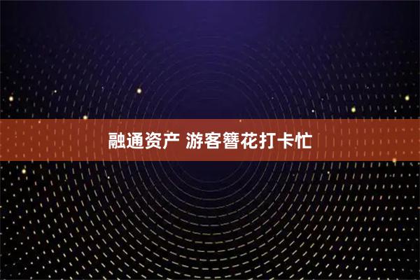 融通资产 游客簪花打卡忙